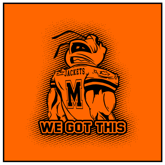 Mineola Yellow Jackets 2017